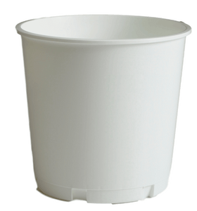 176oz white church offering bucket